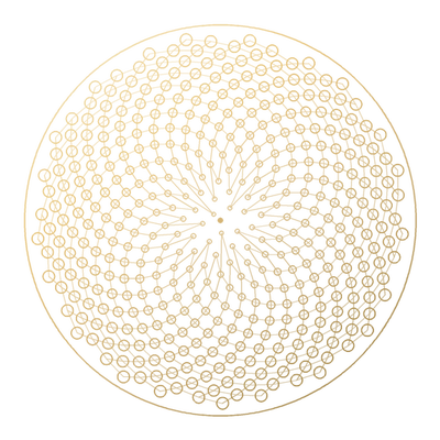 The golden angle in a seed head